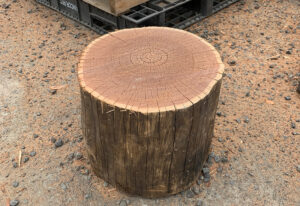 Playground logs and steppers gallery