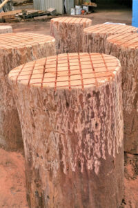 Playground logs and steppers Australia