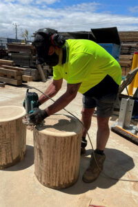 Playground logs and steppers Australia