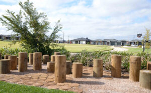 Playground logs and steppers Australia