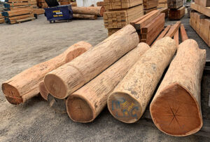 Playground stepping logs in a natural play space
