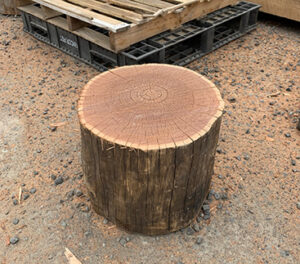 Playground logs and steppers