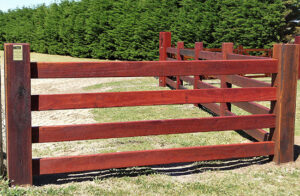 Forest Red Gum timber option