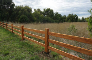 White Cypress timber option